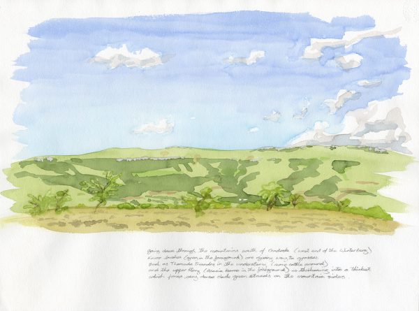 Thickets on Craddock hillside