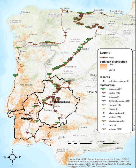 map of vulture observations across Spain